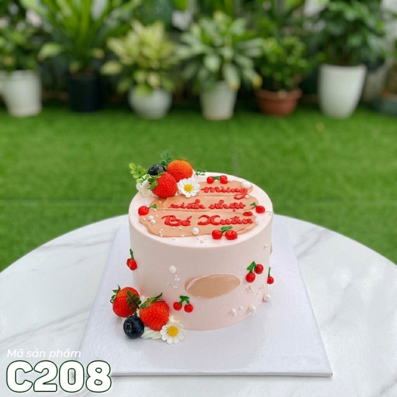 C208 Bánh kem mini 14cm cốt cao