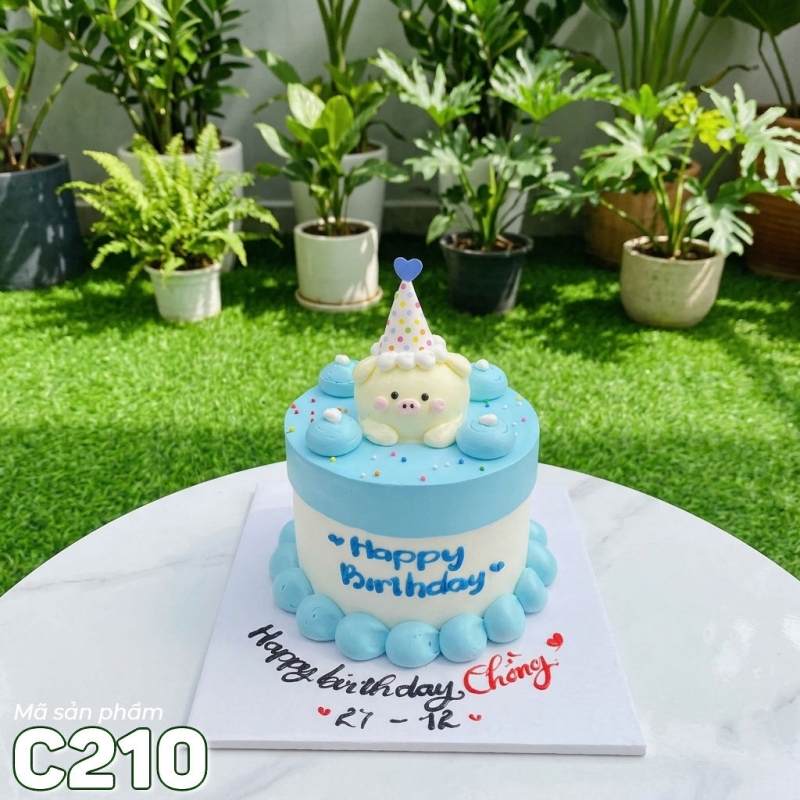C210 Bánh kem mini 14cm cốt cao