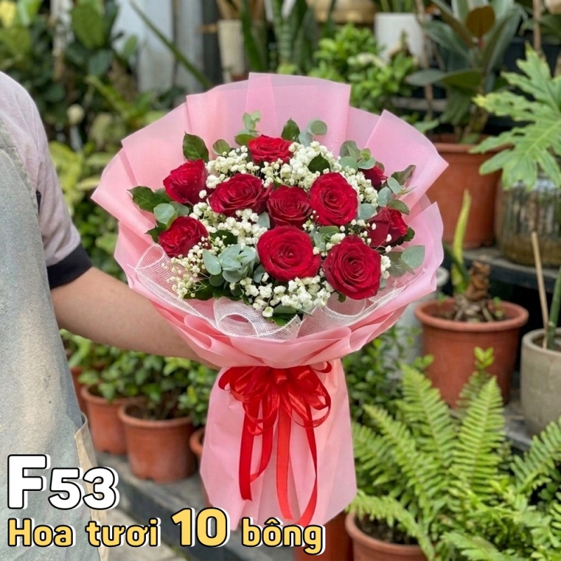 F53 Bó hoa tươi 10 bông