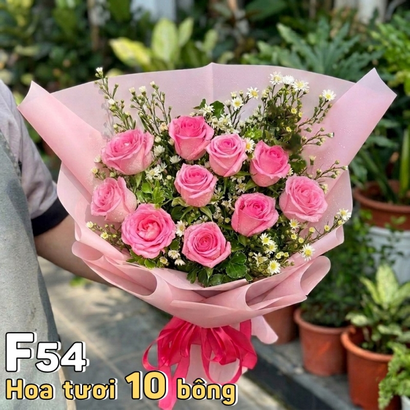 F54 Bó hoa tươi 10 bông