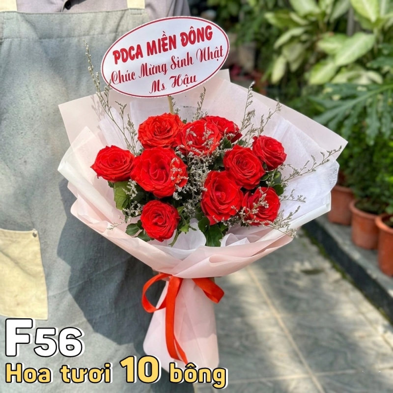 F56 Bó hoa tươi 10 bông