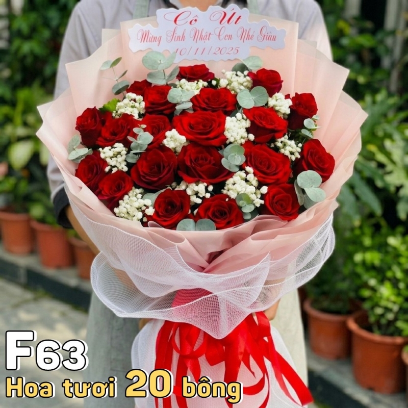 F63 Bó hoa tươi 20 bông