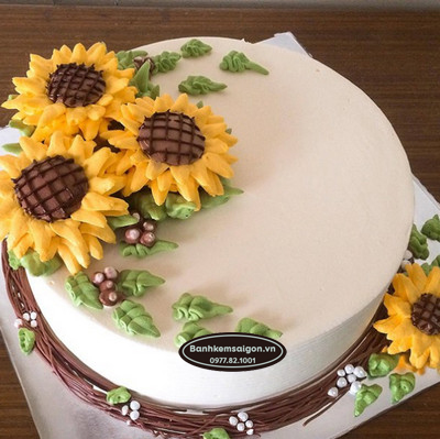 OB(6) Hoa hướng dương