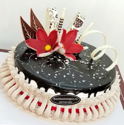 SCL(2) Bánh kem phủ socola